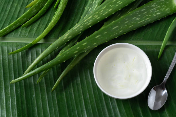 aloe vera gel hochwertig Aloe Vera Gel | Pure and Natural