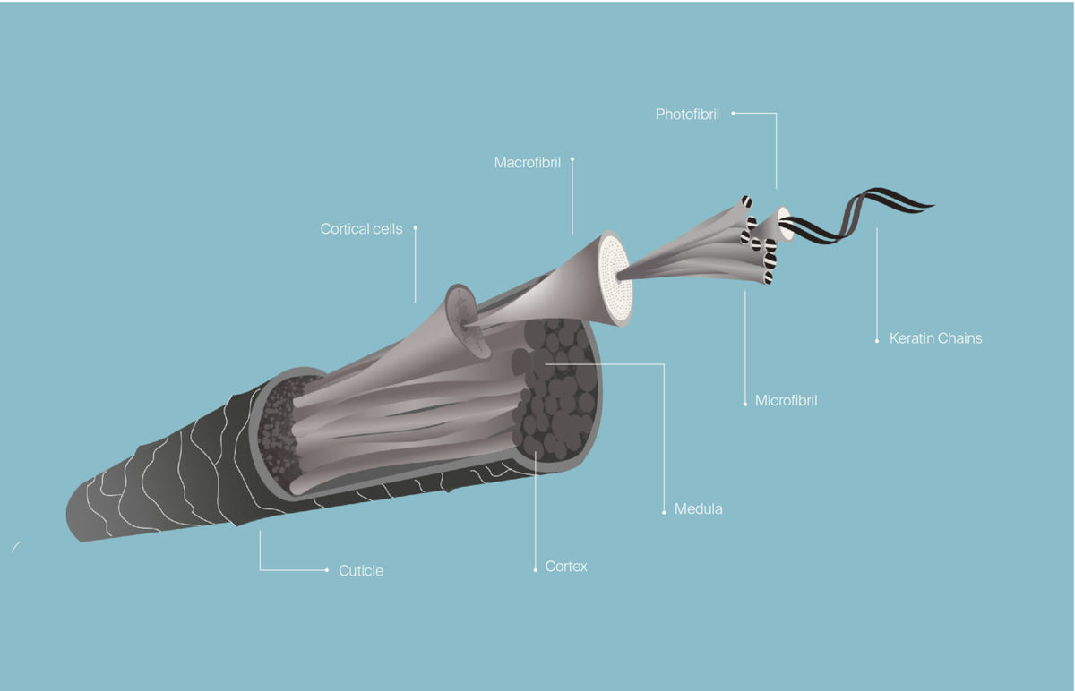 Understanding Hair Bonds: A Guide to the Different Types of Hair Bonds