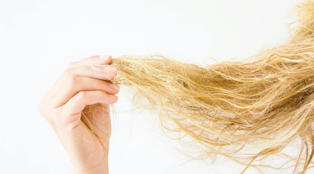 Rebuilding Extreme Bond Damage: A Step‑by‑Step Recovery Plan for Over‑Processed or Severely Bleached Hair