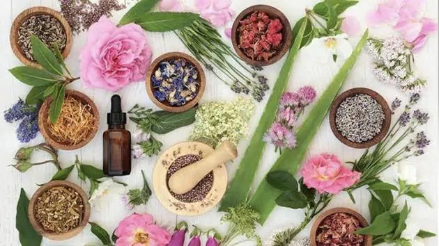 The Power of Natural Ingredients in Hair Care