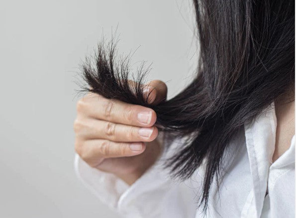 Chemically Treated Hair- 5 Unique Tips To Deal With The Damage