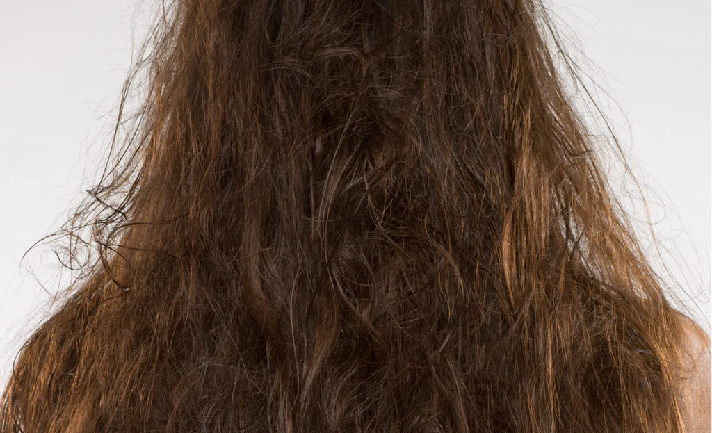 How to Fix Frizzy, Damaged Hair