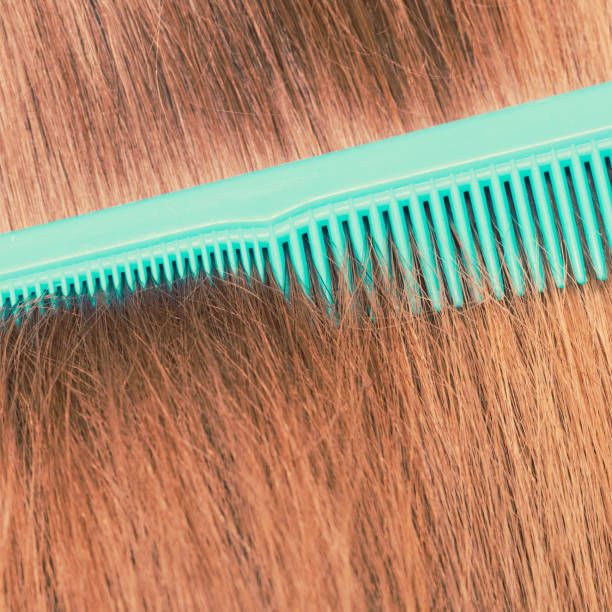 The Best Haircare Products for Dry Hair