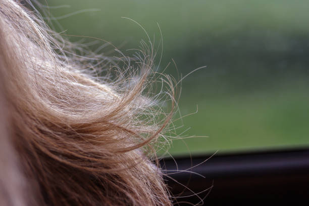 How to Protect Your Hair from Humidity Frizz