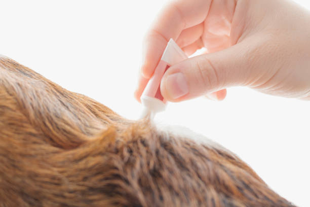 How to Use Hair Texturizers for Hold