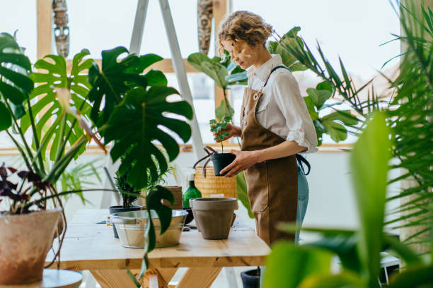 How to Protect Your Hair from Garden Dirt