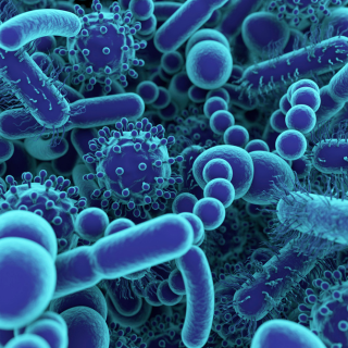 The Microbiome and Hair Health: How Does Your Scalp Microbiome Affect Your Hair?